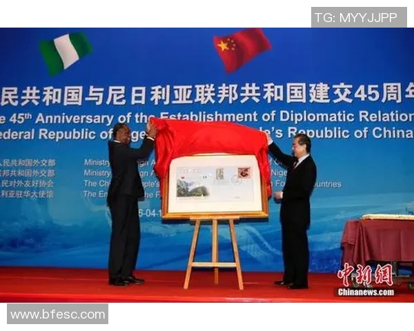 中国与尼日利亚精彩对决回放全程回顾与分析