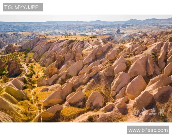 土耳其与冰岛的较量是否会以平局收场分析与预测 土耳其与冰岛的较量是否会以平局收场分析与预测