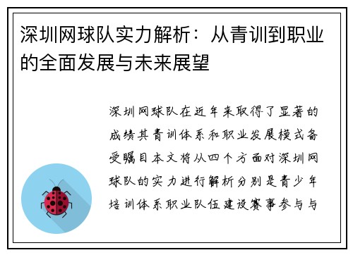 深圳网球队实力解析：从青训到职业的全面发展与未来展望