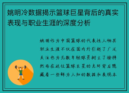 姚明冷数据揭示篮球巨星背后的真实表现与职业生涯的深度分析
