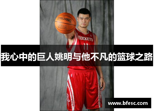 我心中的巨人姚明与他不凡的篮球之路